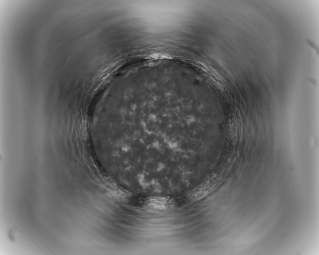X0000095510757200712281437