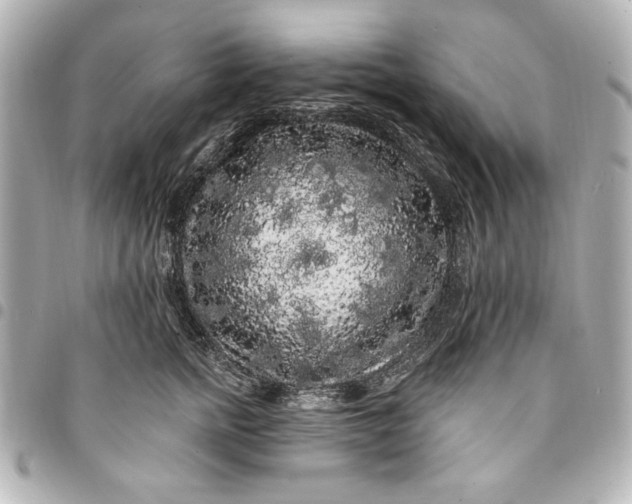 X0000095510758200712281437