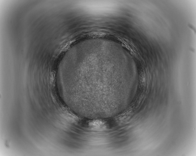 X0000095510759200712281437