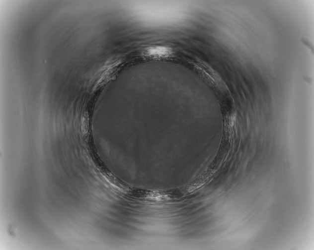 X0000095510760200712281437