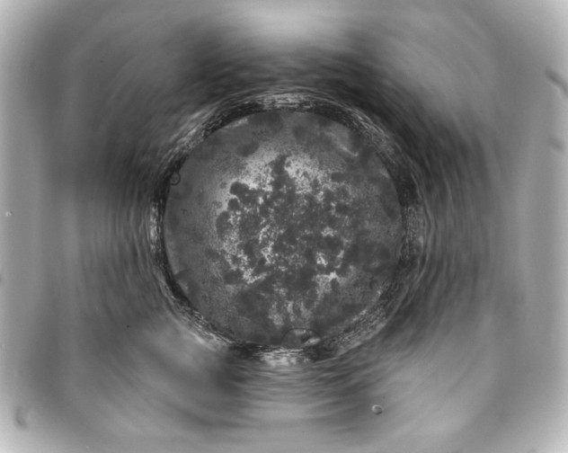 X0000095510761200712281437