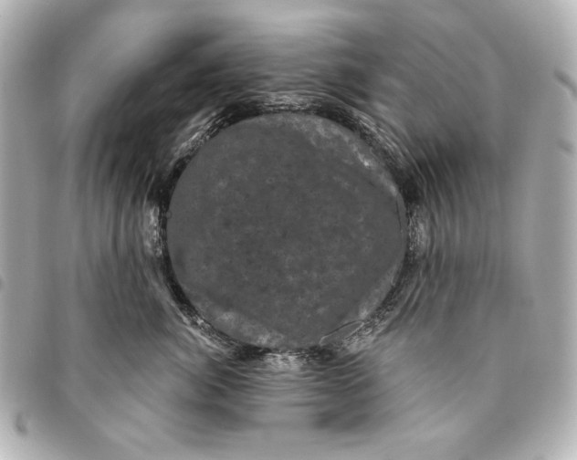 X0000095510764200712281438
