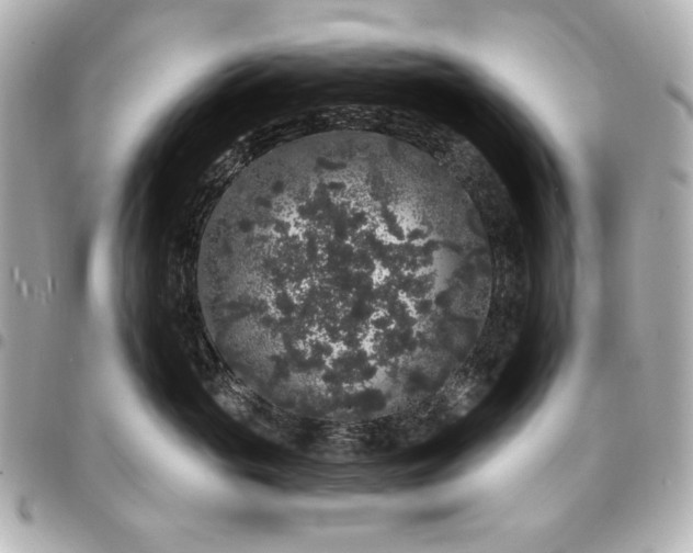 X0000095510765200712281438