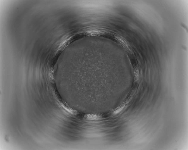 X0000095510766200712281438