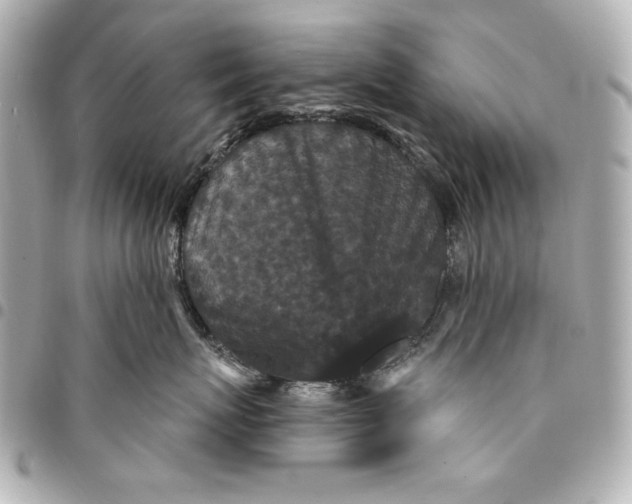 X0000095510767200712281438