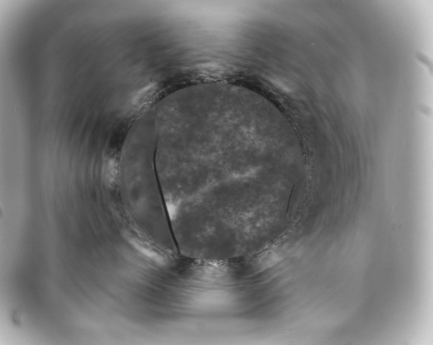 X0000095510768200712281438