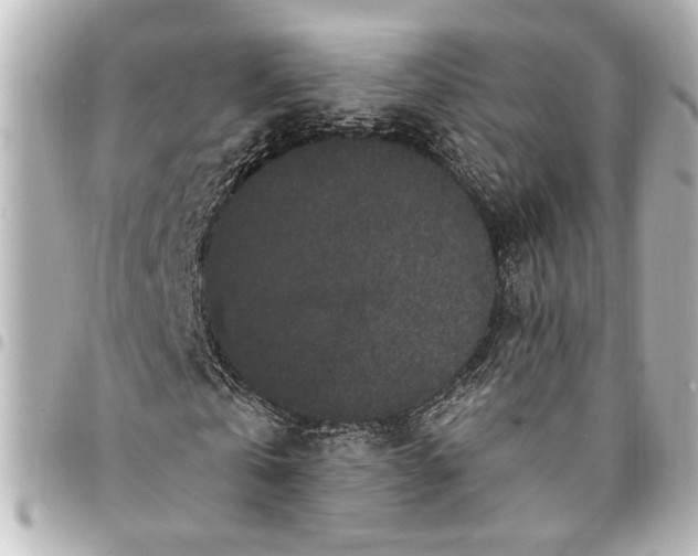 X0000095510769200712281437