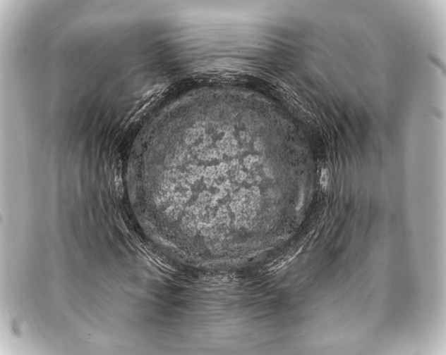 X0000095510771200712281437