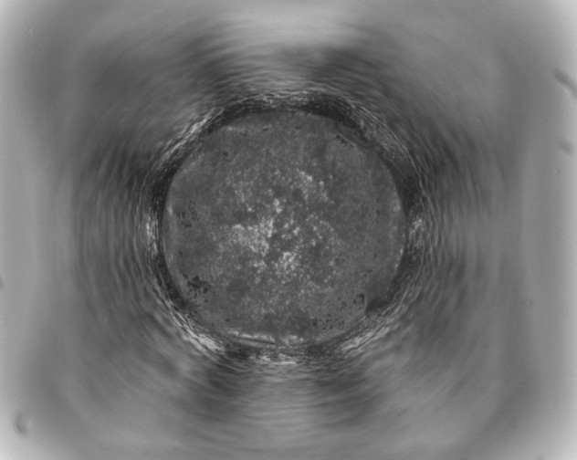 X0000095510772200712281437
