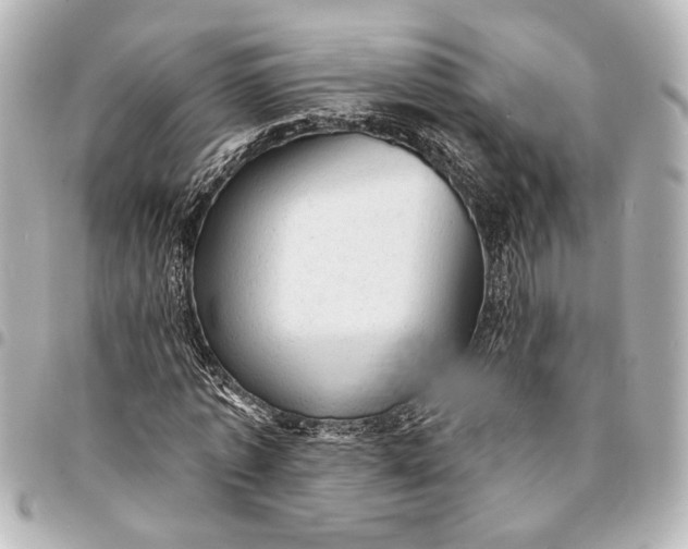 X0000095510773200712281437