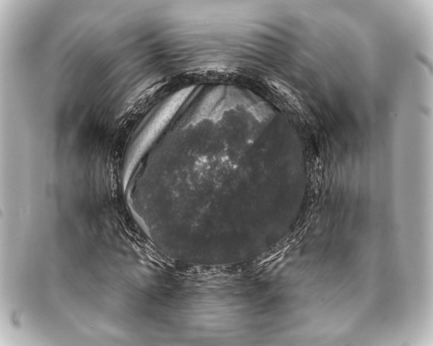 X0000095510774200712281437