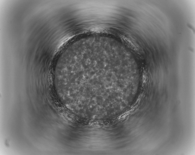 X0000095510776200712281437