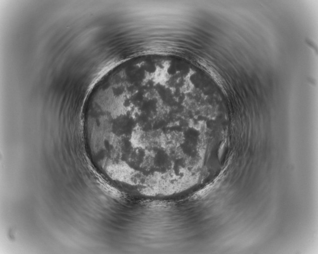 X0000095510779200712281437