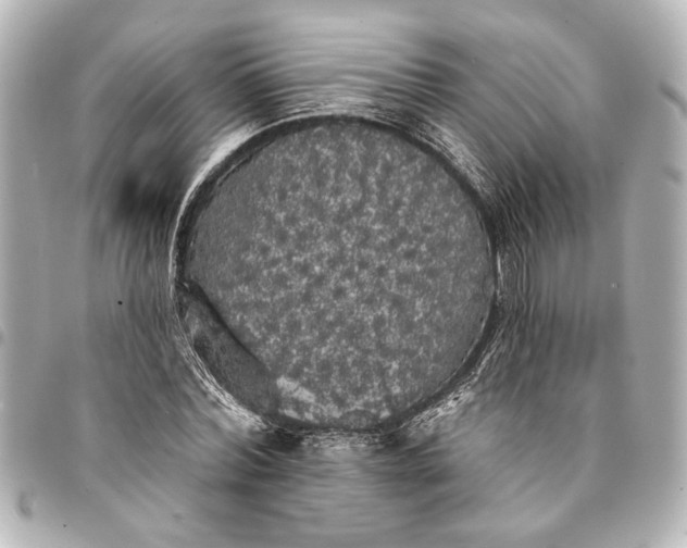 X0000095510780200712281437