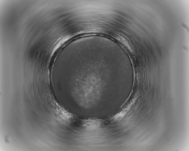 X0000095510781200712281437