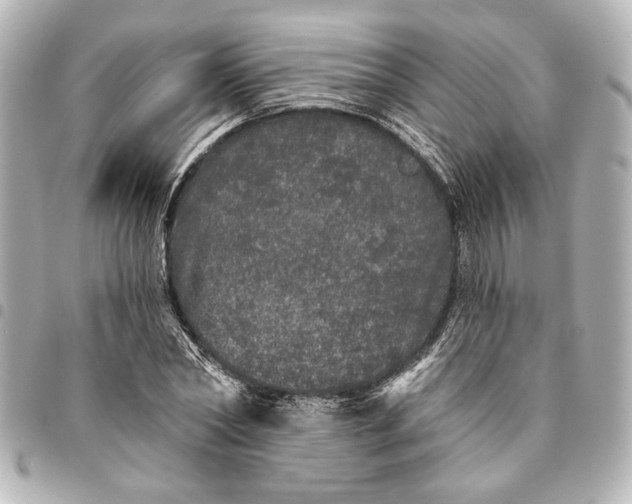 X0000095510782200712281437