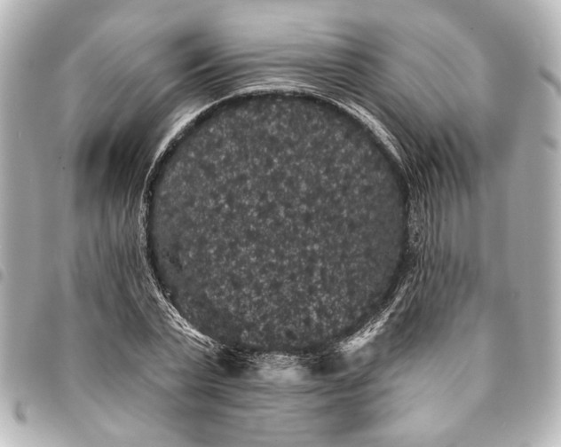 X0000095510783200712281437