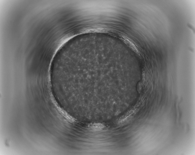 X0000095510784200712281437