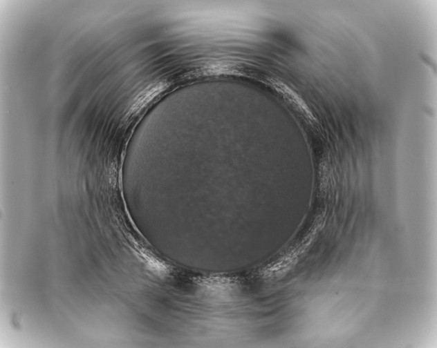 X0000095510785200712281437