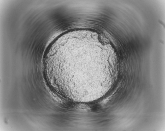 X0000095510787200712281437