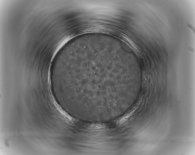 X0000095510788200712281437
