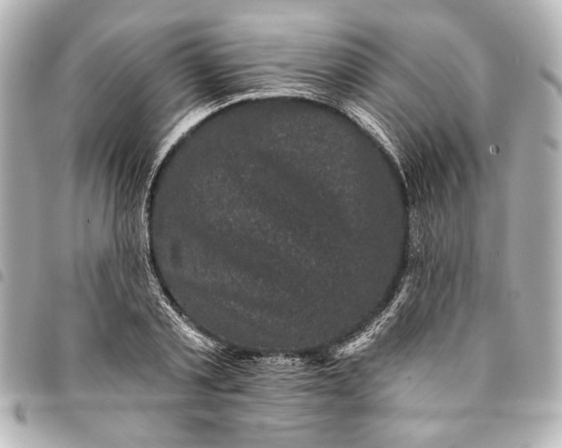 X0000095510789200712281437