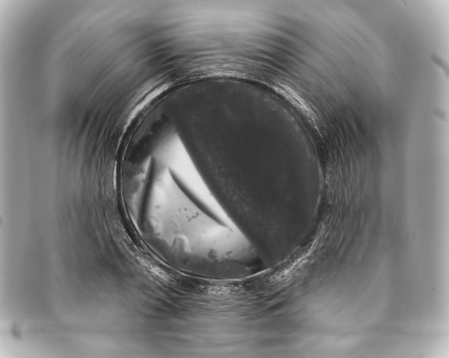 X0000095510790200712281437