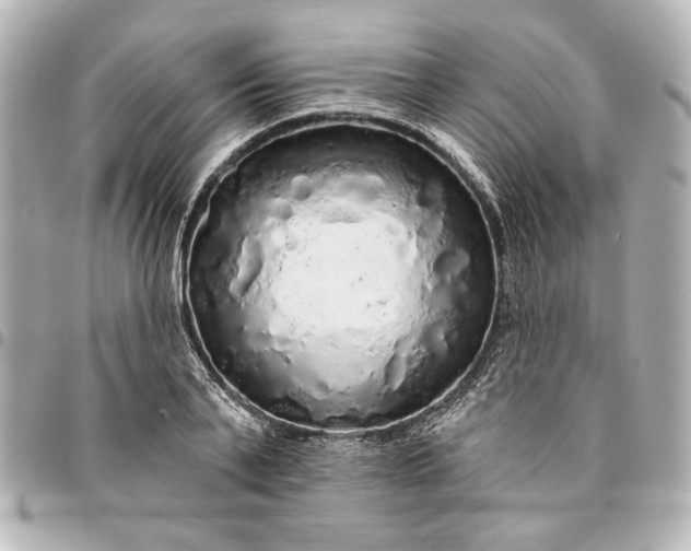 X0000095510791200712281437