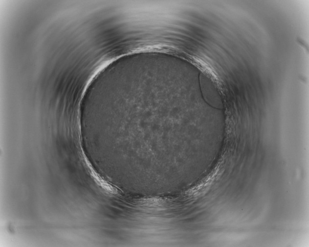 X0000095510792200712281437
