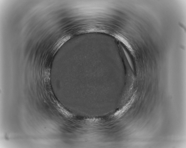 X0000095510793200712281437