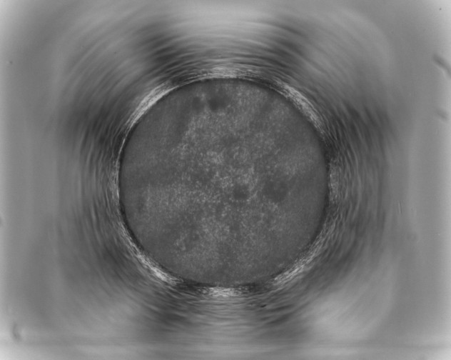 X0000095510794200712281437
