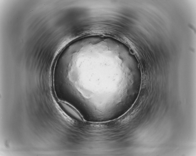 X0000095510795200712281437
