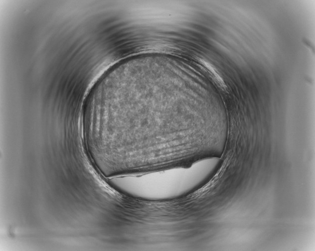 X0000095510796200712281437