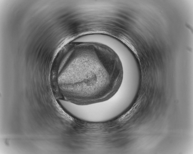 X0000095510797200712281437