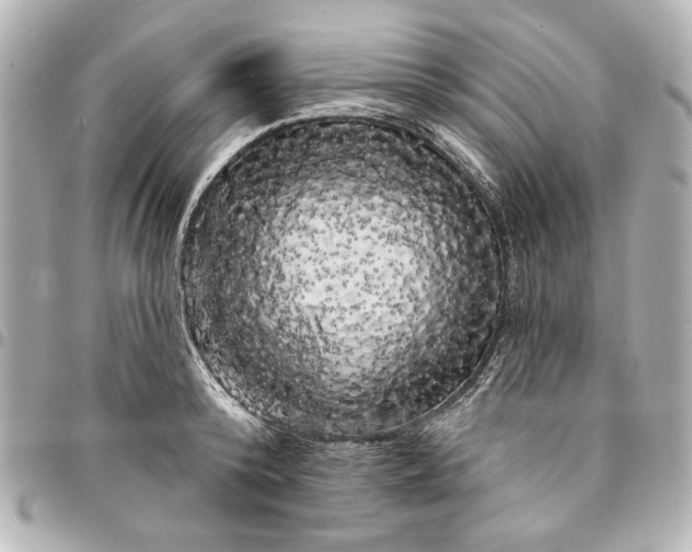 X0000095510800200712281437