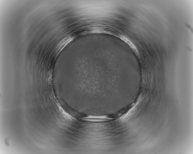 X0000095510801200712281437