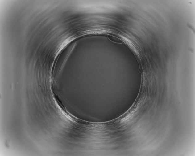 X0000095510802200712281436