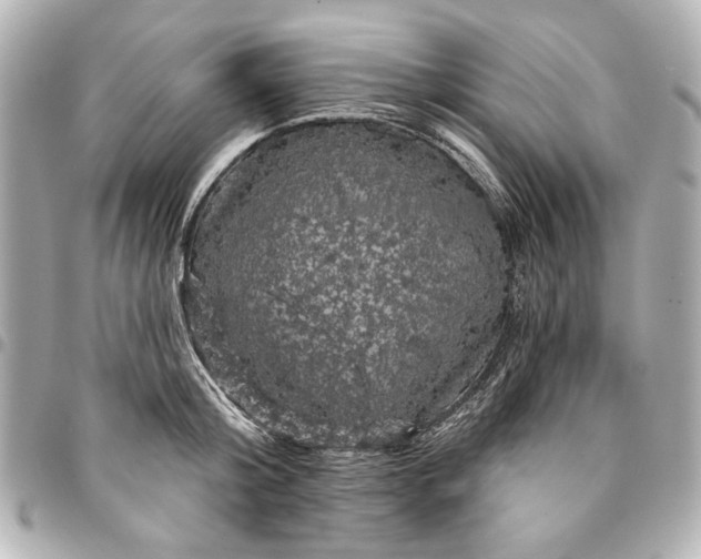 X0000095510804200712281436