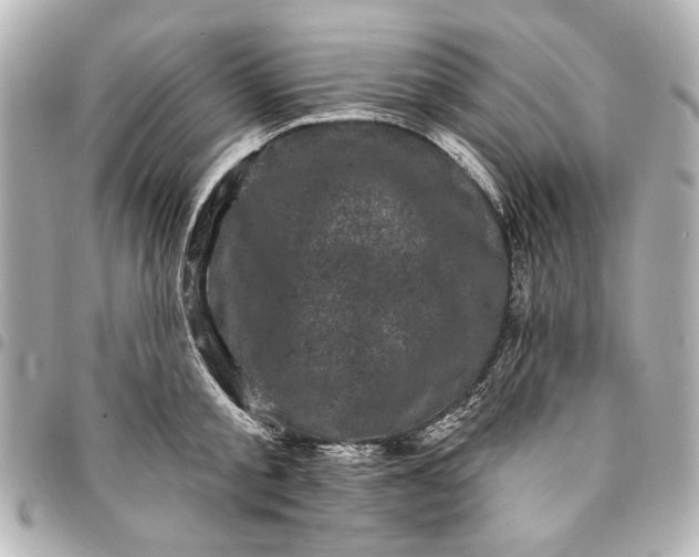 X0000095510805200712281436