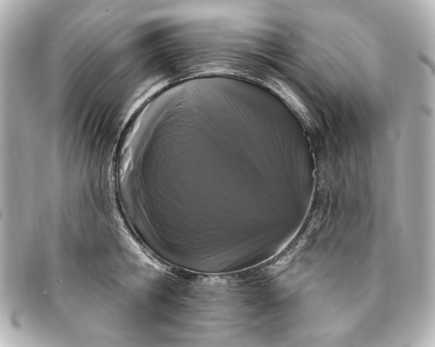 X0000095510806200712281436
