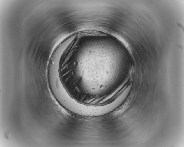 X0000095510807200712281436