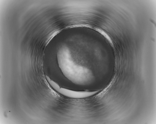 X0000095510809200712281436