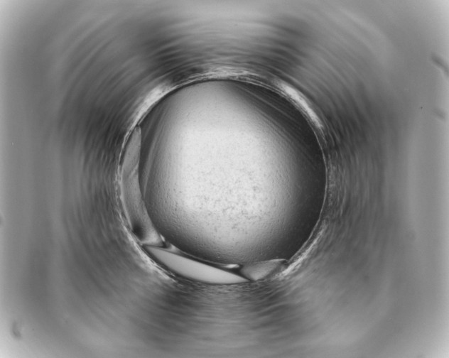 X0000095510810200712281436