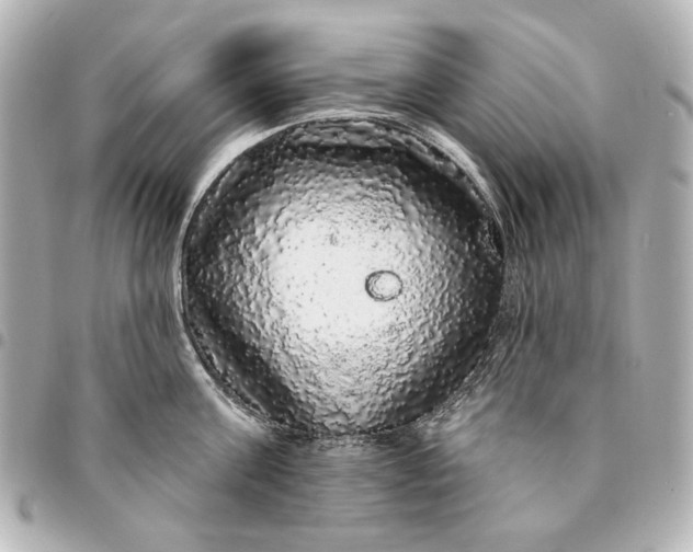 X0000095510811200712281436