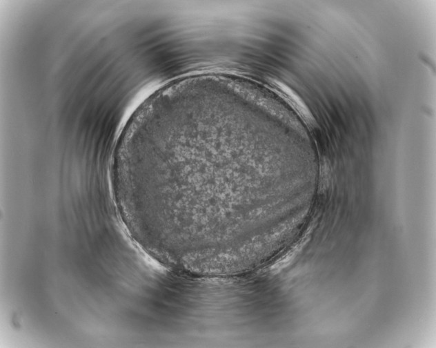 X0000095510812200712281436