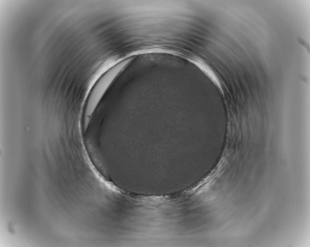 X0000095510813200712281436
