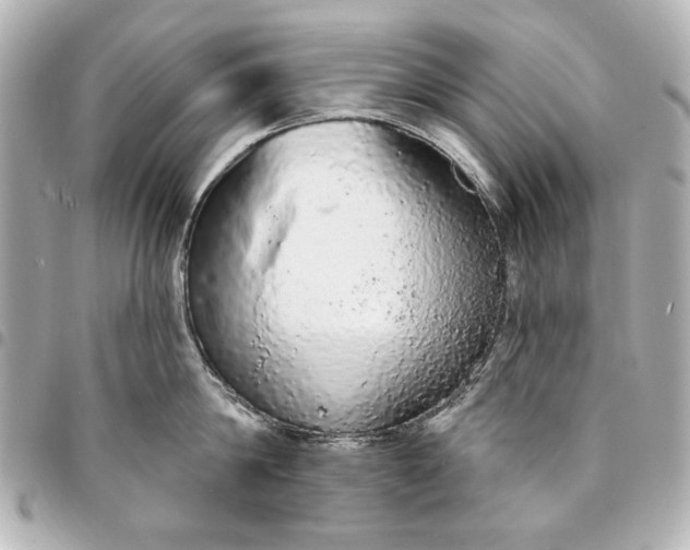 X0000095510814200712281436