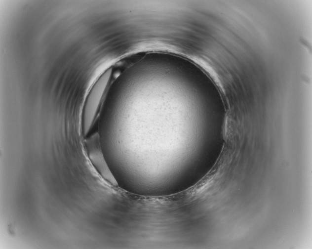 X0000095510815200712281436