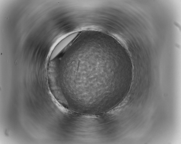 X0000095510816200712281436