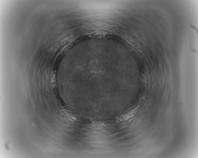 X0000095510818200712281436
